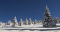 Stuhleck 2010.12.04.&nbsp;(12 k�p)