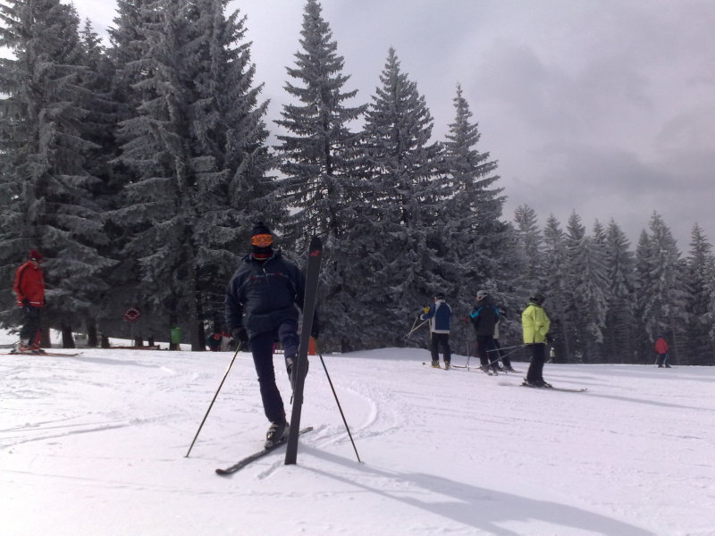 20100312729.jpg