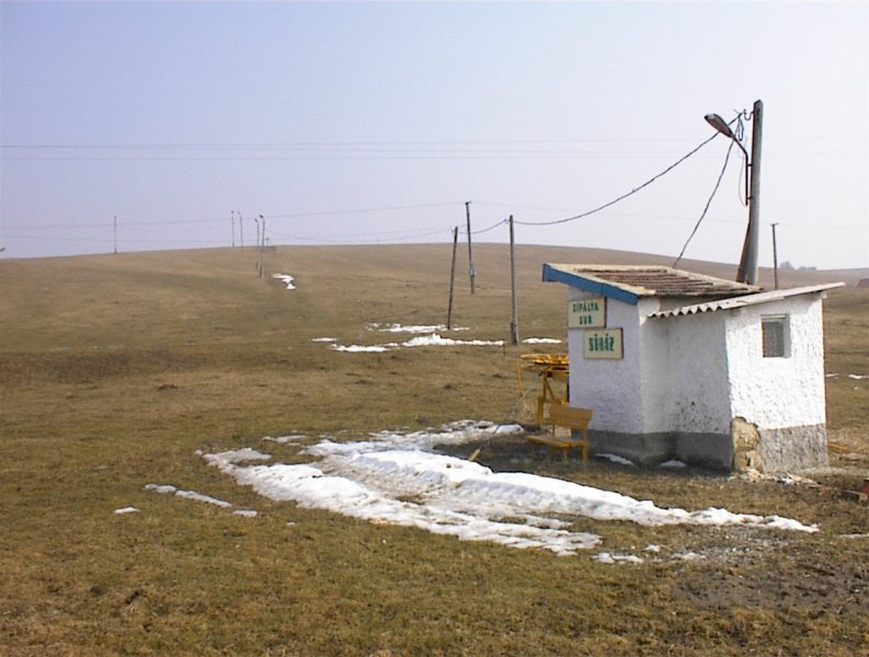 sur003.jpg