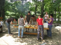 szepalma-hotel-porva17.jpg