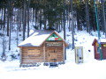 IMG_5527.JPG