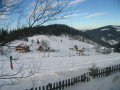 IMG_5597.JPG