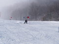 P2262360_2.JPG