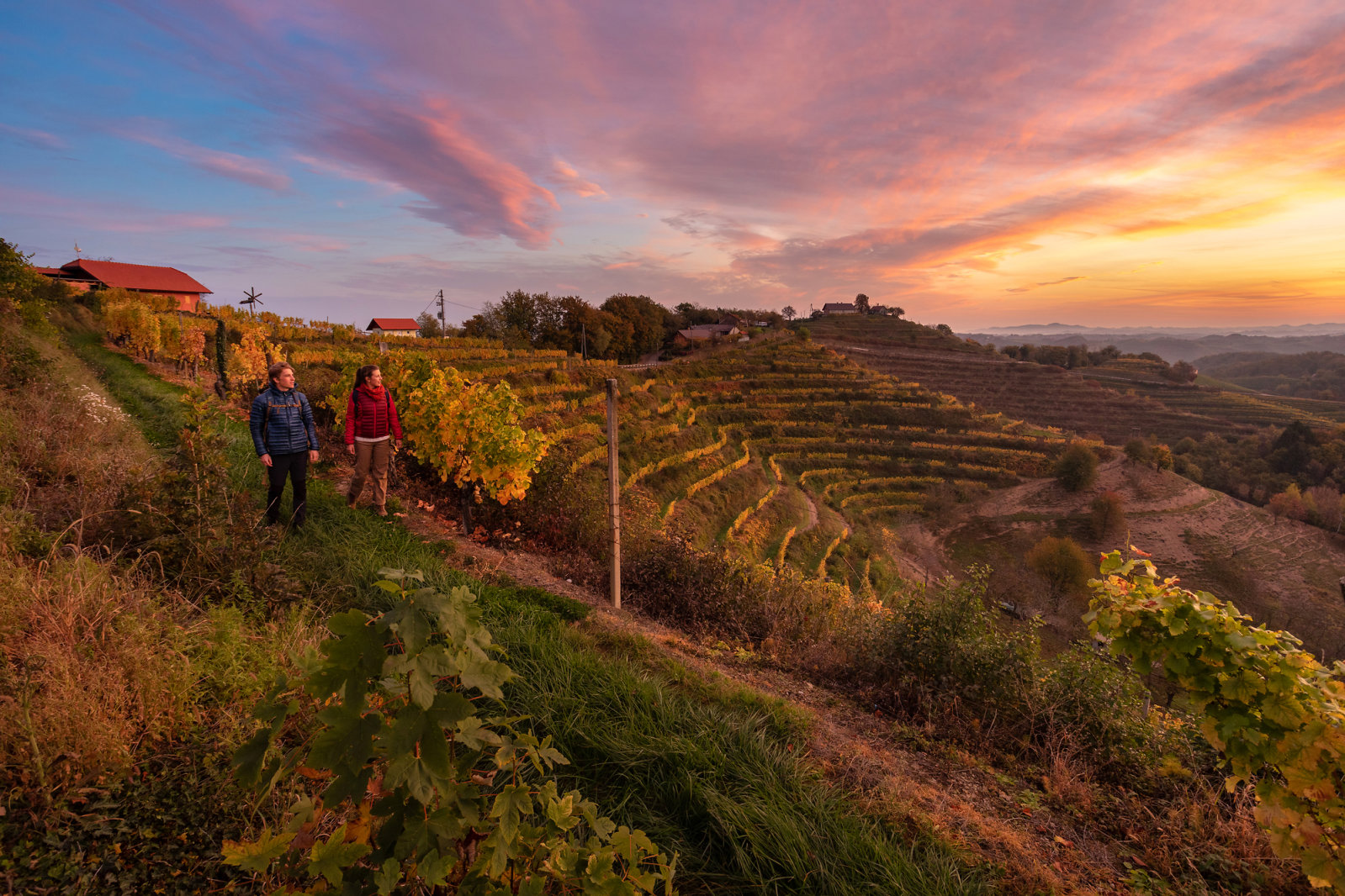 Kirándulás a szőlőtőkék között - Fotó: Jošt Gantar