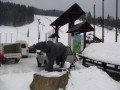 Tale-2011-12-30-006.jpg