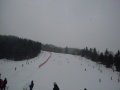 Tale-2011-12-30-019.jpg