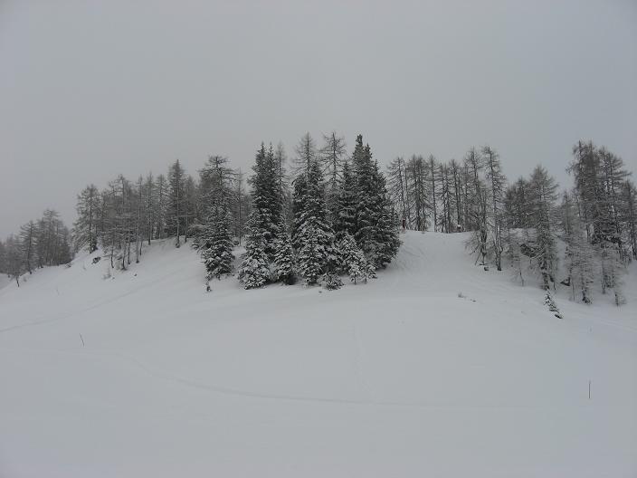 IMG-6191.JPG