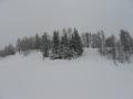 IMG-6191.JPG