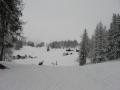 IMG-6193.JPG