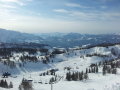 Tauplitz 2012. febr.1-4.&nbsp;(33 k�p)