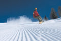 tauplitzalm014.jpg