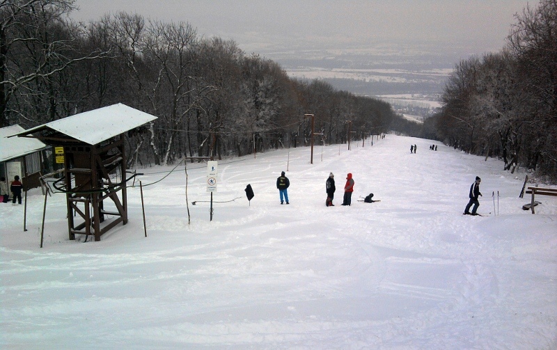IMG-20120205-115325.jpg