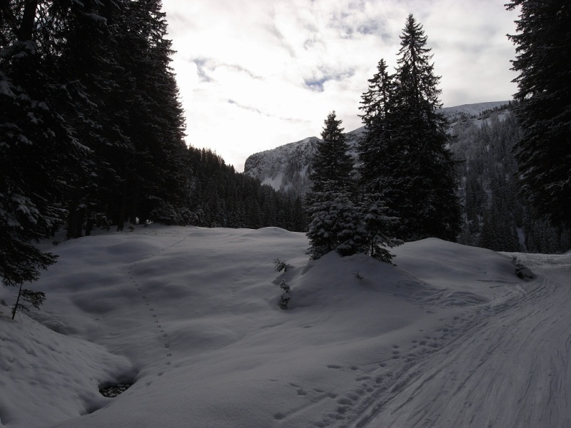 R0017048.JPG