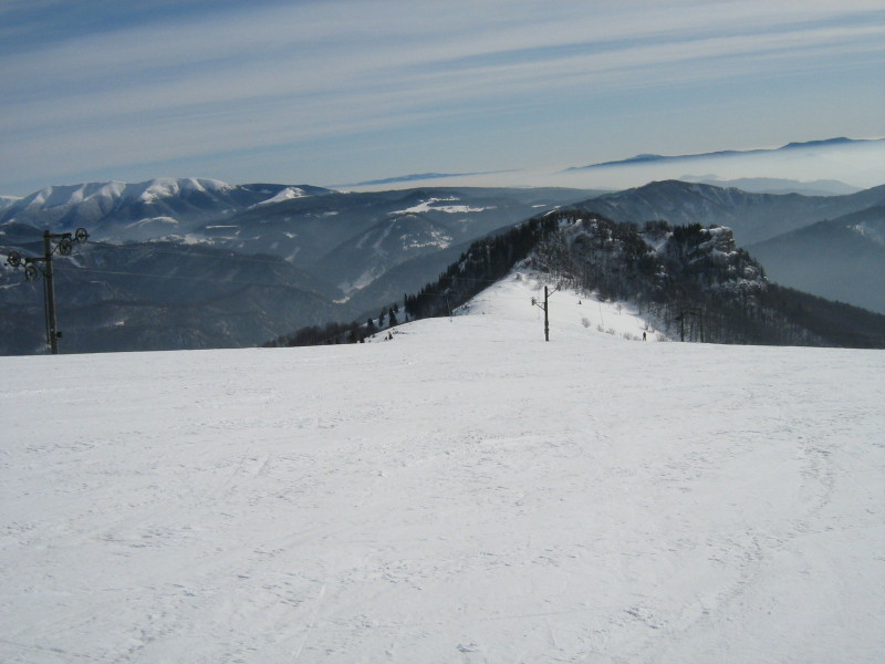 IMG-6533.jpg