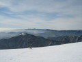 IMG-6531.jpg