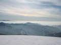 IMG-6532.jpg