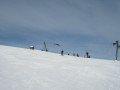 IMG-6534.jpg