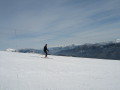 IMG-6536.jpg