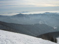 IMG-6537.jpg