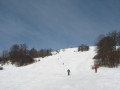 IMG-6546.jpg