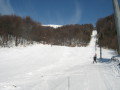 IMG-6559.jpg