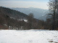 IMG-6571.jpg
