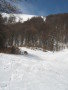 IMG-6573.jpg