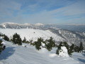 IMG-6580.jpg