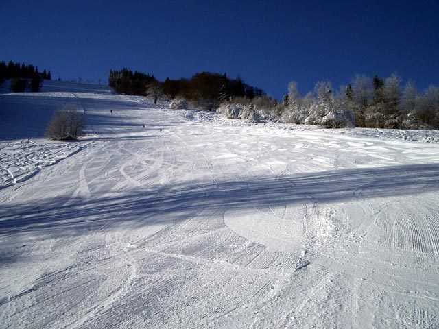 turnitz02.jpg