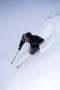Fot�: Treble Cone Ski Area