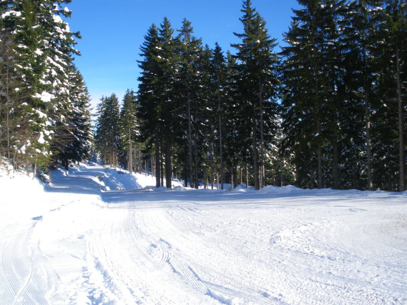 IMGP0005.JPG