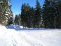 Unterberg 2010.12.19.&nbsp;(8 k�p)