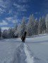Ir�ny a hegy !