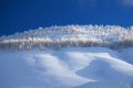 IMG-9392-resize.JPG