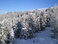 Val di Fiemme - 2010 janu�r&nbsp;(16 k�p)