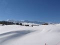 IMG-0520.JPG