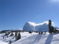 IMG-0524.JPG