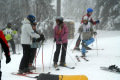 DSC-0378.JPG