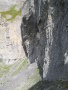 543_4342.JPG