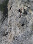 543_4360.JPG