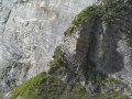 543_4365.JPG