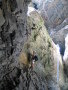 544_4411.JPG