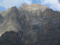 545_4506.JPG