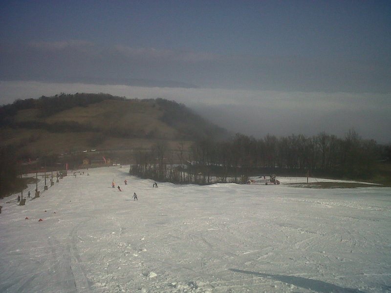 IMG00003-20110305-0956.jpg