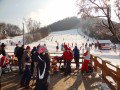 Visegr�d 2012.&nbsp;(5 k�p)