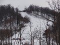 DSC01992.JPG