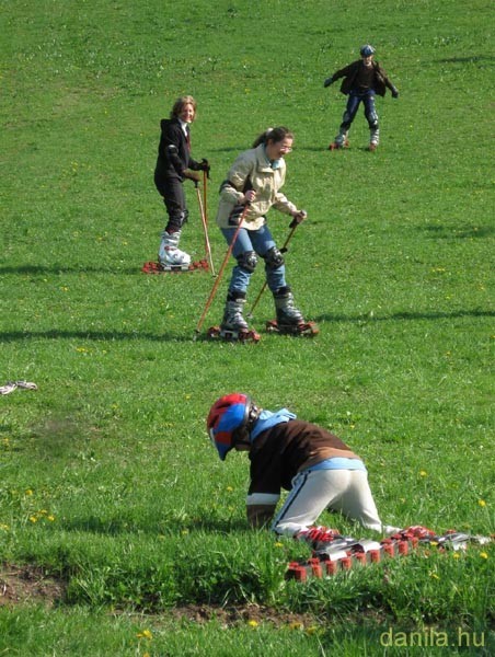 nyar06.jpg