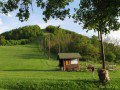 Visegr�d-Nagyvill�m gyeps�z�s&nbsp;(16 k�p)