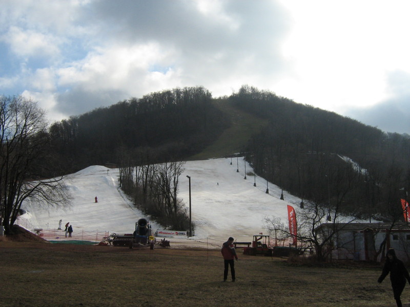 IMG-6353.jpg