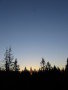 20080212-080520-viragtamas.jpg